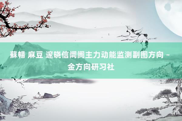 蘇暢 麻豆 邃晓信阛阓主力动能监测副图方向 – 金方向研习社