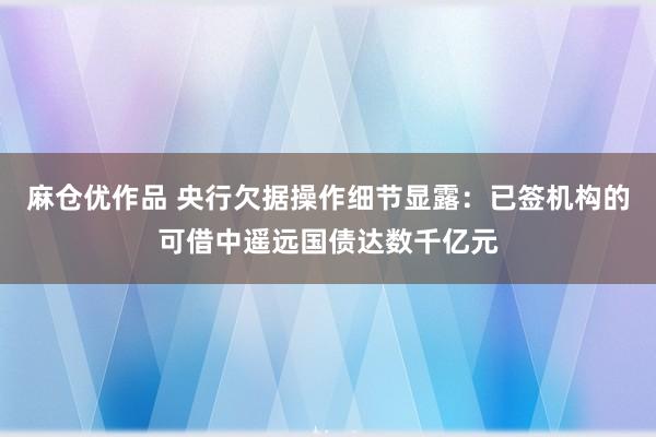 麻仓优作品 央行欠据操作细节显露：已签机构的可借中遥远国债达数千亿元