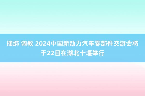 捆绑 调教 2024中国新动力汽车零部件交游会将于22日在湖北十堰举行