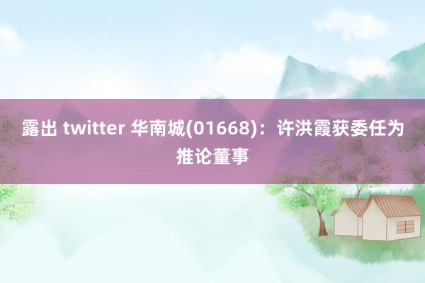 露出 twitter 华南城(01668)：许洪霞获委任为推论董事