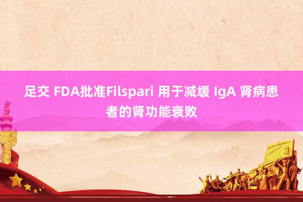 足交 FDA批准Filspari 用于减缓 IgA 肾病患者的肾功能衰败