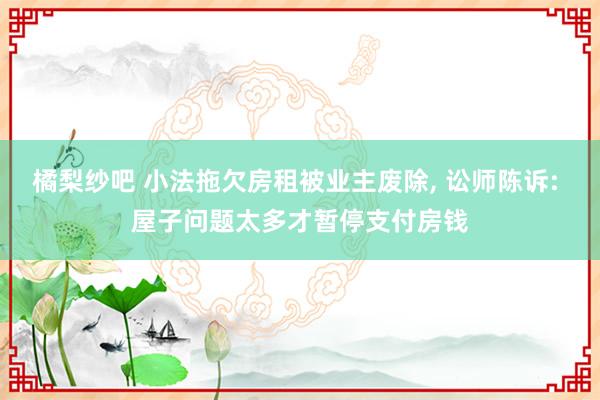 橘梨纱吧 小法拖欠房租被业主废除， 讼师陈诉: 屋子问题太多才暂停支付房钱