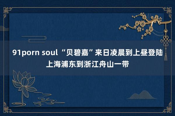 91porn soul “贝碧嘉”来日凌晨到上昼登陆上海浦东到浙江舟山一带