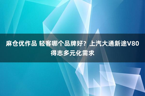 麻仓优作品 轻客哪个品牌好？上汽大通新途V80得志多元化需求