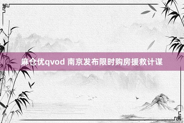 麻仓优qvod 南京发布限时购房援救计谋