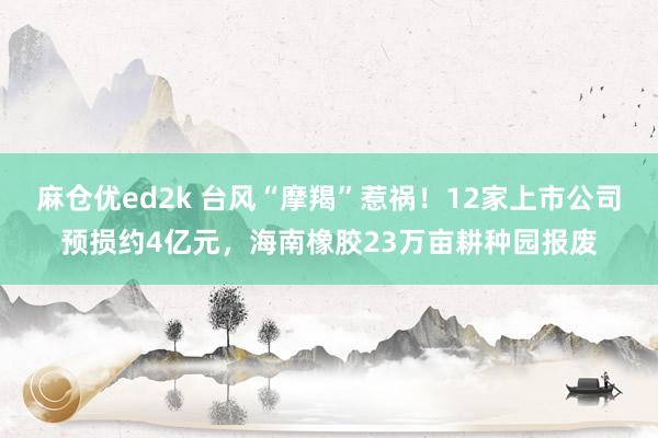 麻仓优ed2k 台风“摩羯”惹祸！12家上市公司预损约4亿元，海南橡胶23万亩耕种园报废