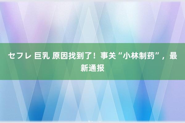 セフレ 巨乳 原因找到了！事关“小林制药”，最新通报