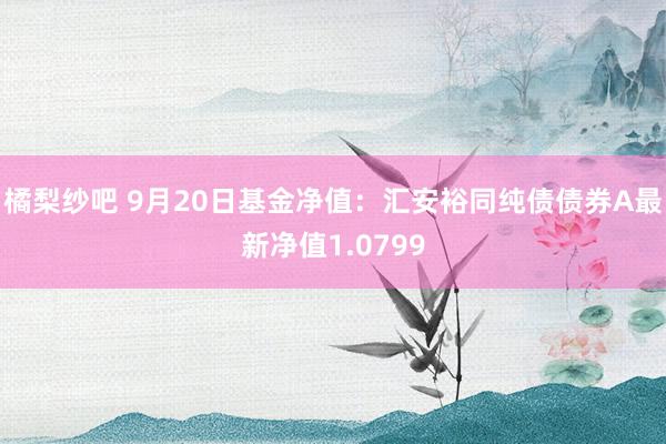 橘梨纱吧 9月20日基金净值：汇安裕同纯债债券A最新净值1.0799