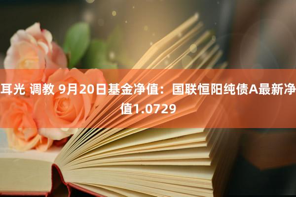 耳光 调教 9月20日基金净值：国联恒阳纯债A最新净值1.0729