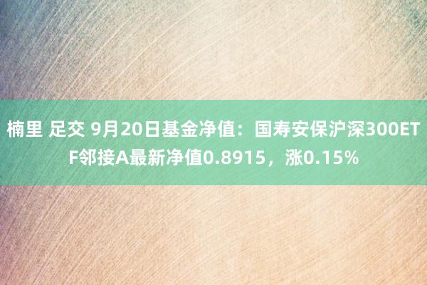 楠里 足交 9月20日基金净值：国寿安保沪深300ETF邻接A最新净值0.8915，涨0.15%