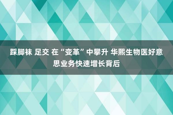 踩脚袜 足交 在“变革”中攀升 华熙生物医好意思业务快速增长背后