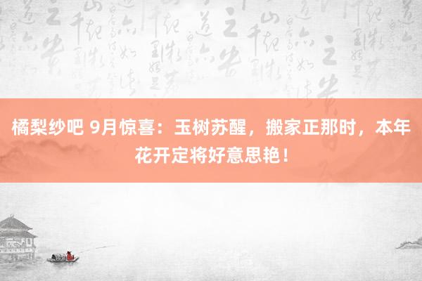 橘梨纱吧 9月惊喜：玉树苏醒，搬家正那时，本年花开定将好意思艳！