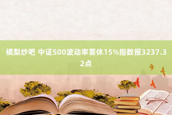 橘梨纱吧 中证500波动率罢休15%指数报3237.32点