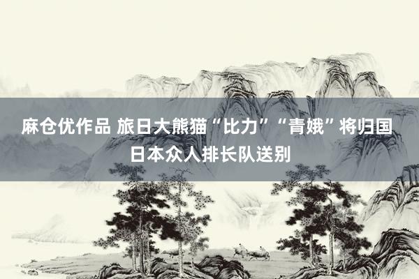 麻仓优作品 旅日大熊猫“比力”“青娥”将归国 日本众人排长队送别