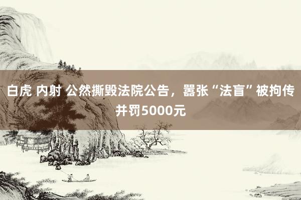 白虎 内射 公然撕毁法院公告，嚣张“法盲”被拘传并罚5000元