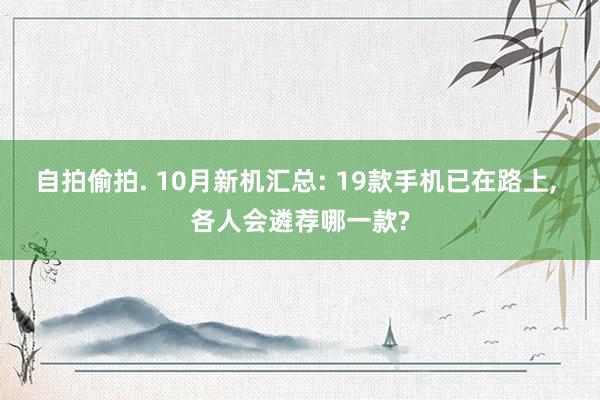 自拍偷拍. 10月新机汇总: 19款手机已在路上， 各人会遴荐哪一款?