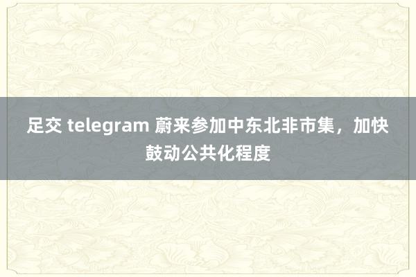 足交 telegram 蔚来参加中东北非市集，加快鼓动公共化程度