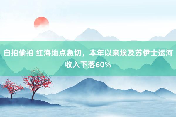 自拍偷拍 红海地点急切，本年以来埃及苏伊士运河收入下落60%