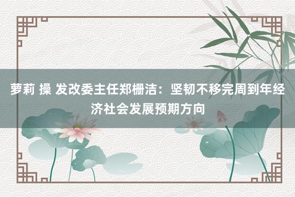 萝莉 操 发改委主任郑栅洁：坚韧不移完周到年经济社会发展预期方向