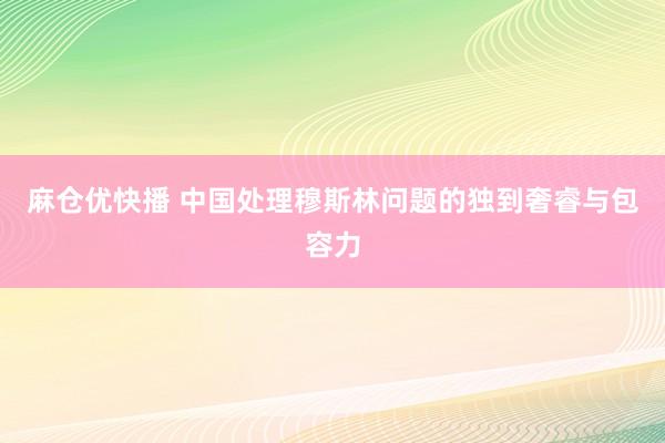 麻仓优快播 中国处理穆斯林问题的独到奢睿与包容力