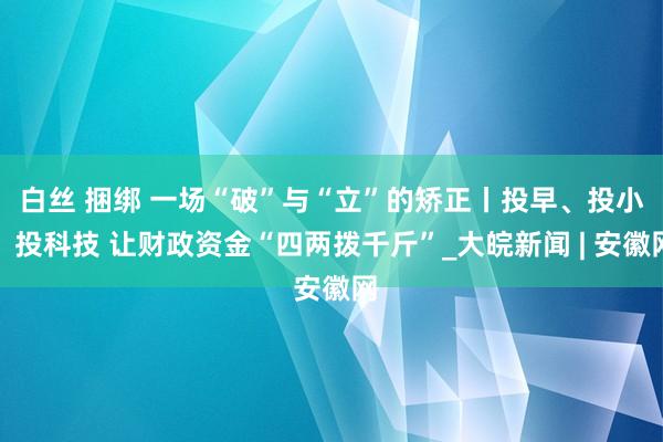 白丝 捆绑 一场“破”与“立”的矫正丨投早、投小、投科技 让财政资金“四两拨千斤”_大皖新闻 | 安徽网