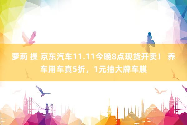 萝莉 操 京东汽车11.11今晚8点现货开卖！ 养车用车真5折，1元抽大牌车膜