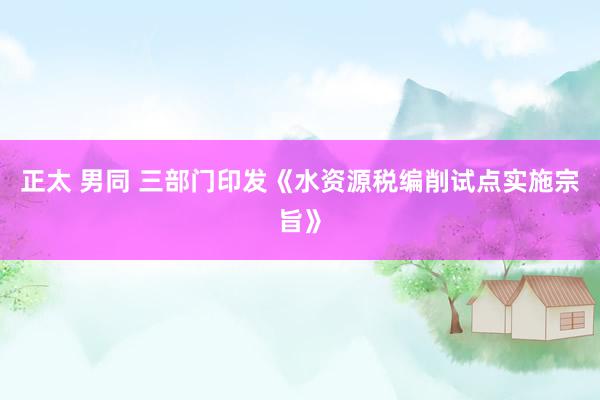 正太 男同 三部门印发《水资源税编削试点实施宗旨》