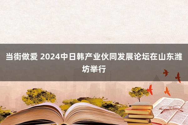 当街做爱 2024中日韩产业伙同发展论坛在山东潍坊举行