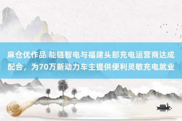 麻仓优作品 能链智电与福建头部充电运营商达成配合，为70万新动力车主提供便利灵敏充电就业