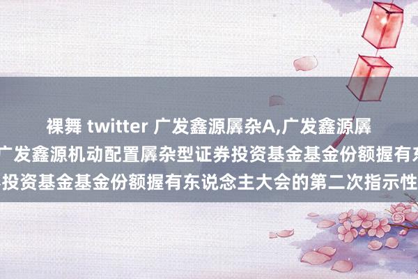 裸舞 twitter 广发鑫源羼杂A，广发鑫源羼杂C: 对于以通信神情召开广发鑫源机动配置羼杂型证券投资基金基金份额握有东说念主大会的第二次指示性公告