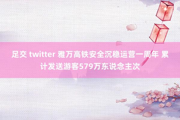 足交 twitter 雅万高铁安全沉稳运营一周年 累计发送游客579万东说念主次