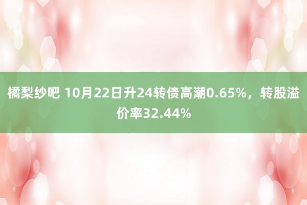 橘梨纱吧 10月22日升24转债高潮0.65%，转股溢价率32.44%