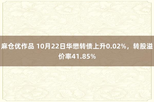 麻仓优作品 10月22日华懋转债上升0.02%，转股溢价率41.85%