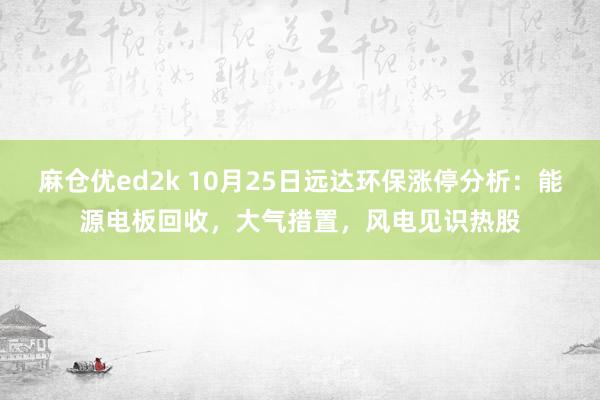 麻仓优ed2k 10月25日远达环保涨停分析：能源电板回收，大气措置，风电见识热股