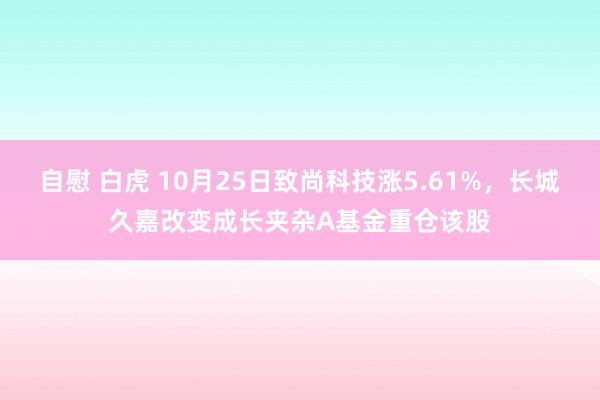 自慰 白虎 10月25日致尚科技涨5.61%，长城久嘉改变成长夹杂A基金重仓该股