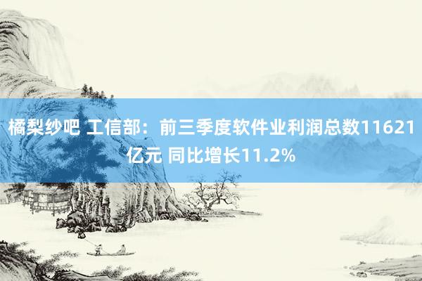 橘梨纱吧 工信部：前三季度软件业利润总数11621亿元 同比增长11.2%