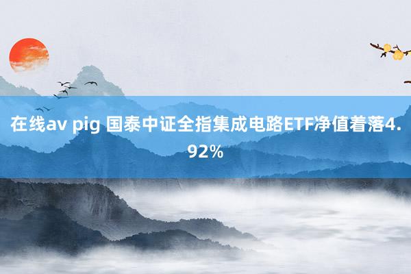 在线av pig 国泰中证全指集成电路ETF净值着落4.92%