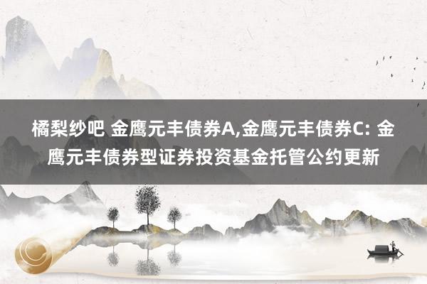 橘梨纱吧 金鹰元丰债券A，金鹰元丰债券C: 金鹰元丰债券型证券投资基金托管公约更新