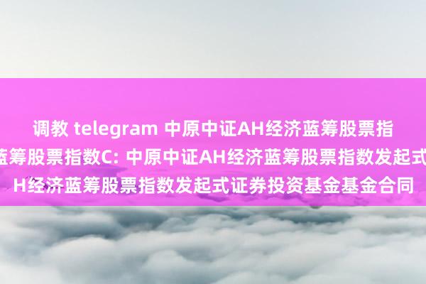 调教 telegram 中原中证AH经济蓝筹股票指数A，中原中证AH经济蓝筹股票指数C: 中原中证AH经济蓝筹股票指数发起式证券投资基金基金合同