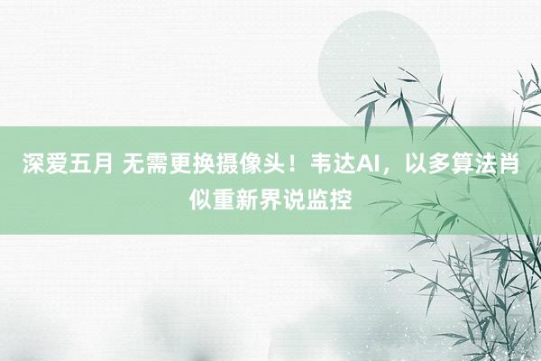 深爱五月 无需更换摄像头！韦达AI，以多算法肖似重新界说监控