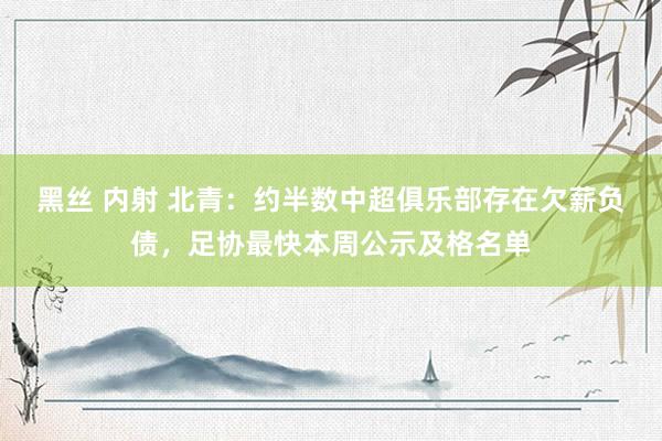 黑丝 内射 北青：约半数中超俱乐部存在欠薪负债，足协最快本周公示及格名单