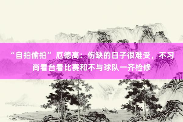 “自拍偷拍” 厄德高：伤缺的日子很难受，不习尚看台看比赛和不与球队一齐检修