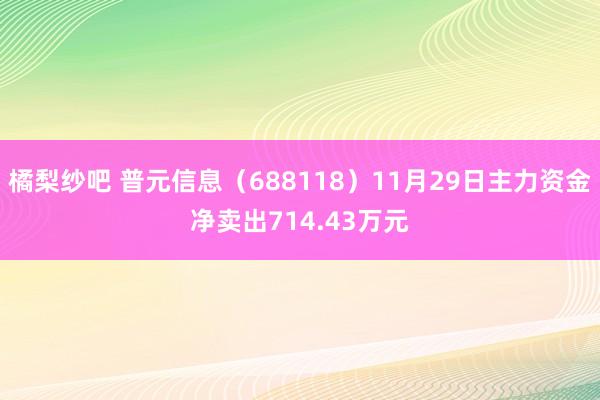 橘梨纱吧 普元信息（688118）11月29日主力资金净卖出714.43万元