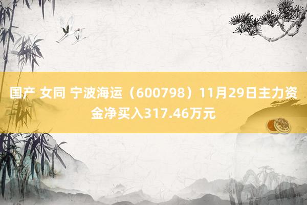 国产 女同 宁波海运（600798）11月29日主力资金净买入317.46万元