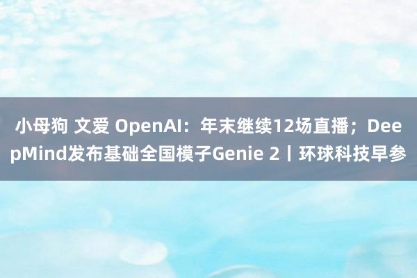 小母狗 文爱 OpenAI：年末继续12场直播；DeepMind发布基础全国模子Genie 2丨环球科技早参