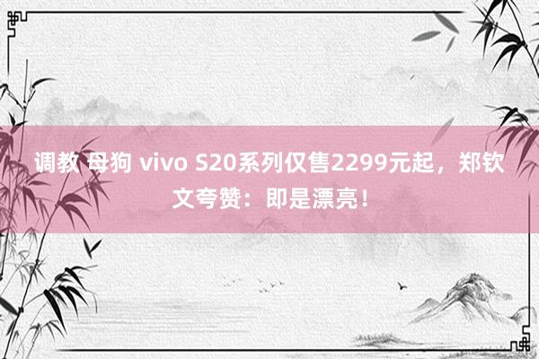 调教 母狗 vivo S20系列仅售2299元起，郑钦文夸赞：即是漂亮！