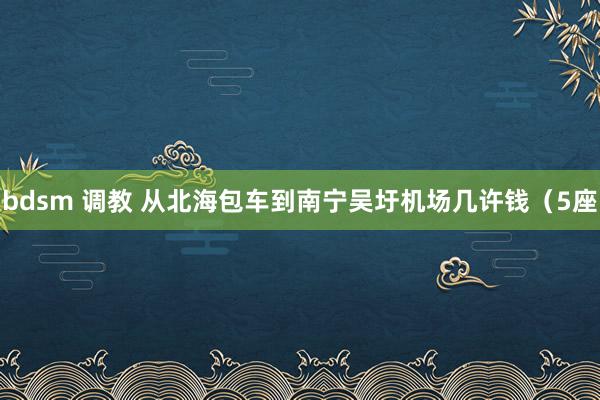 bdsm 调教 从北海包车到南宁吴圩机场几许钱（5座