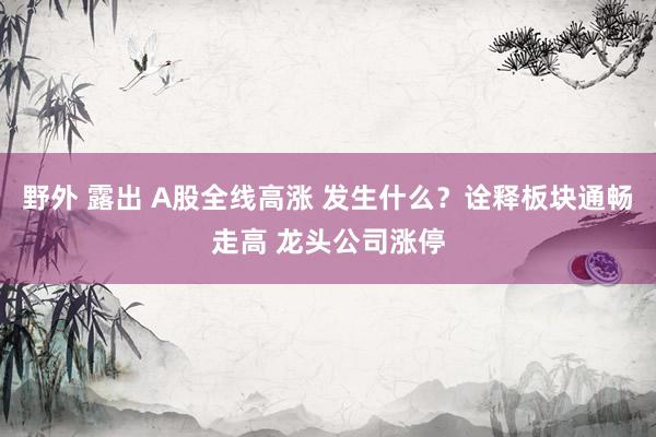 野外 露出 A股全线高涨 发生什么？诠释板块通畅走高 龙头公司涨停