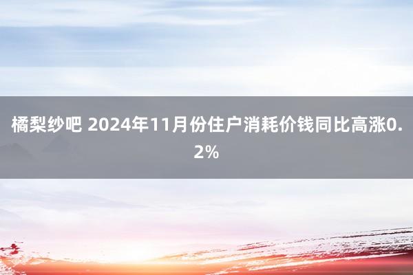 橘梨纱吧 2024年11月份住户消耗价钱同比高涨0.2%