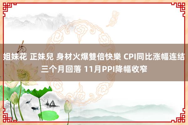 姐妹花 正妹兒 身材火爆雙倍快樂 CPI同比涨幅连结三个月回落 11月PPI降幅收窄